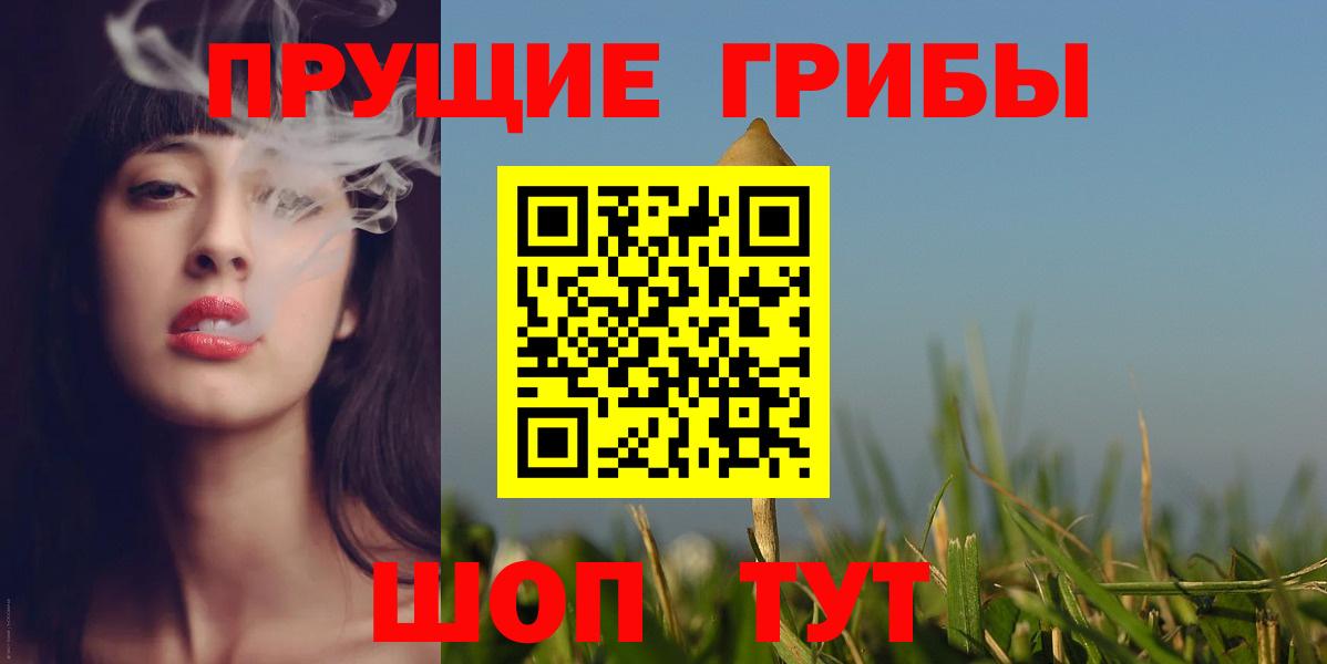 Бугульма  Галлюциногенные грибы прущие грибы  Галлюциногенные грибы мицелий  Вход с VPN 