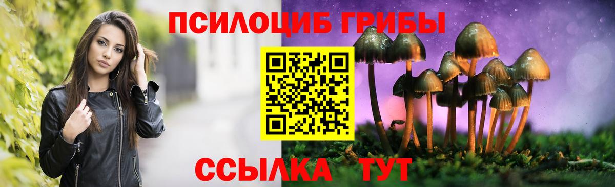 Галлюциногенные грибы Magic Shrooms Бугульма